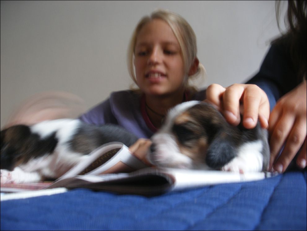cuccioli amelie-29